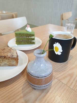 cakes and coffee always reliable at Plant at Plant Cafe & Kitchen - Yeonnam in Seoul