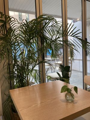 Earthy decor and calm atmosphere   at Plant Cafe & Kitchen - Yeonnam in Seoul