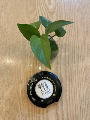 Buzzer  at Plant Cafe & Kitchen - Yeonnam in Seoul