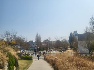  at Plant Cafe & Kitchen - Yeonnam in Seoul