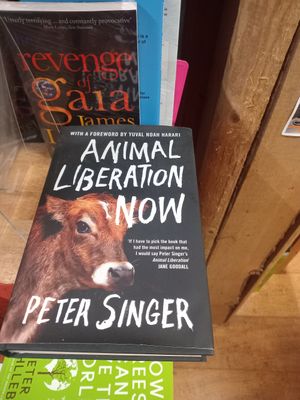 🥰 at The Mountain Coffee Co in Gairloch