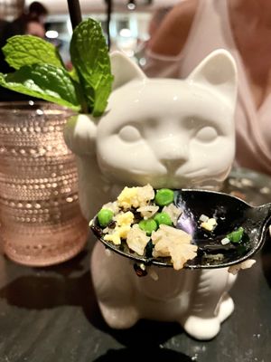 Vegan truffle fried rice presented by the “sake to me” cocktail kitty ❣️ at PLANTA Queen in New York City