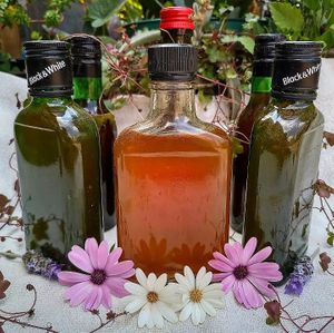 Vinagres naturales, orgánicos, con madre para seguir produciendo los suyos en casa 🙌🏼 (Se venden aquí diversos productos veganos) at Taco Grass in Mexico City