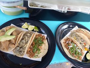 Super fresh & delicious Tacos 😍 at Taco Grass in Mexico City