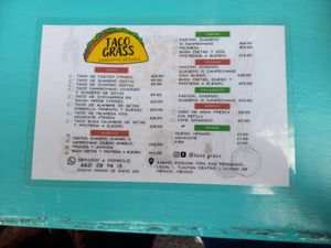 Menu 📄 at Taco Grass in Mexico City