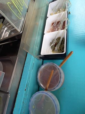 Green & red salsa. Nopales, beans & potatoes to add on top 🥄 at Taco Grass in Mexico City