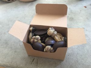 Rawchocos pour Pâques St Valentin  et Noël!  at Le Singe Heureux in Lunel