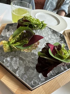   at Eleven Madison Park in New York City