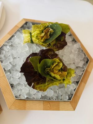   at Eleven Madison Park in New York City