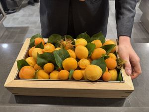 Sorbet in your kitchen   at Eleven Madison Park in New York City