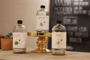 All our mezcals do not have animal abuse or agrochemicals in production. at Etnofood in Oaxaca