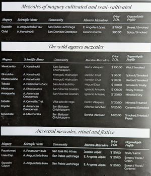 Menu 5 of 7, May 2023 at Etnofood in Oaxaca