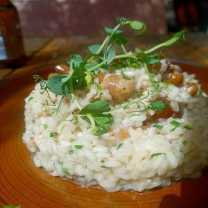 Mushroom Risotto at Zion in Wied Il-ghajn