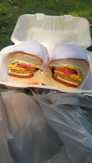 Italian sub w/ mayo at Subculture Vegan Deli & Provisions  in Albany