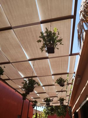 Decoración at Snack 22 in Loreto