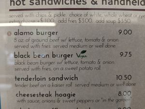 Close up of vegan option at Knoebels - The Alamo Restaurant in Elysburg