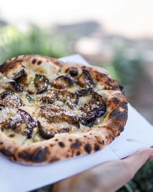 Eggplant pizza with vegan cheese sauce (market special) at Piante Pizza in Brisbane