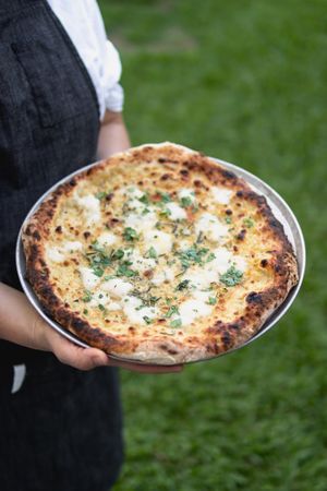 3 Cheese Pizza: Garlic cheese sauce, rosemary, mozzarella, parsley and parmesan  at Piante Pizza in Brisbane