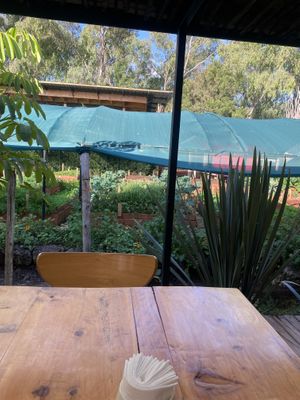   at Cultiva Pizza Shop - Greenhouse Restaurant in Nairobi