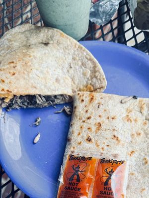   at Deep Roots Market in Greensboro