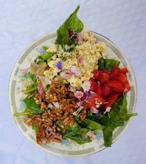  at planted. in Kittery