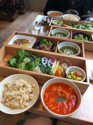 Vegan bento at AIN SOPH.Ginza in Tokyo