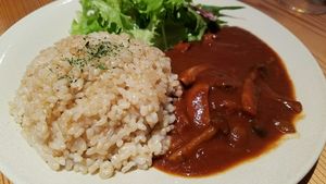 rice with stew at AIN SOPH.Ginza in Tokyo