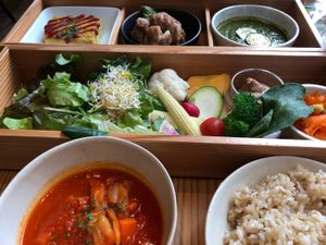 Vegan bento  at AIN SOPH.Ginza in Tokyo