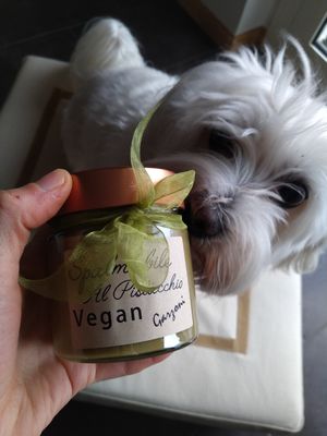 Crema al Pistacchio Vegan #Veganuary at Pasticceria Caffetteria Garzoni in Brescia