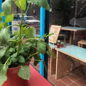 Outdoor table and coffee menu at Kinder Kitchen in South East London