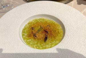 Risotto — a little bland at Linfa in Milan
