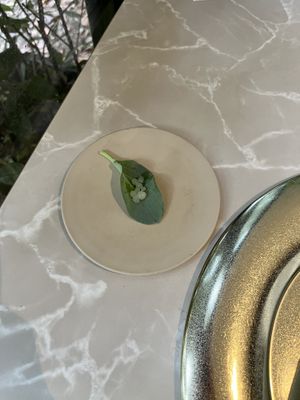 Amuse-bouche   at Linfa in Milan