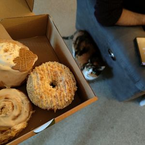  at Sasparella Vegan Deli + Donut Delivery in Falmouth