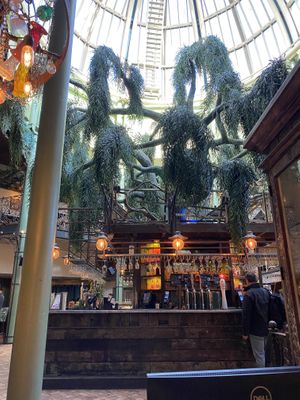 Interior   at The Botanist in Newcastle Upon Tyne