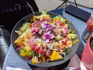 Mixed salad at The Chakra Lounge in Sheffield