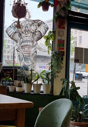  at The Chakra Lounge in Sheffield