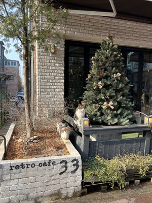 Friendly neighborhood cat at Retro33 - 레트로33 in Yongin