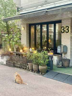 Terrace sitting area is nice to enjoy beautiful weather  at Retro33 - 레트로33 in Yongin