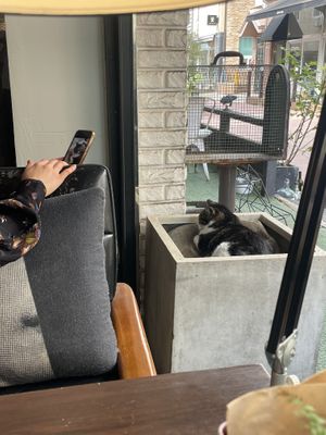 Cute   at Retro33 - 레트로33 in Yongin