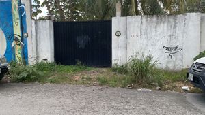 Gate  at Tacos ALV  in Playa Del Carmen