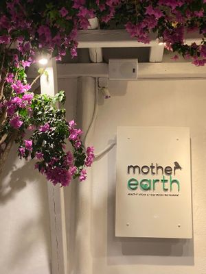 Cute restaurant next to DSquared…great service! at Mother Earth in Mykonos