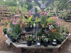 I loved walking around the garden. So peaceful. at The Garden Tap in Mount Shasta