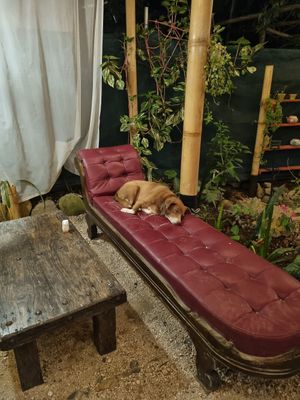  at Samsara's Garden in San Marcos La Laguna