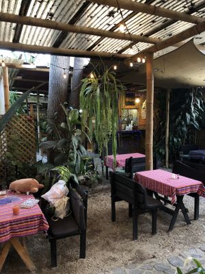   at Samsara's Garden in San Marcos La Laguna