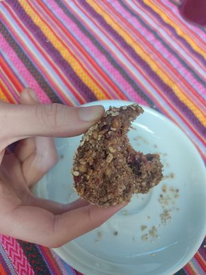 Cashew Ball at Samsara's Garden in San Marcos La Laguna