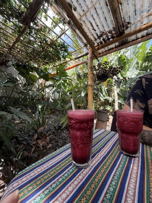   at Samsara's Garden in San Marcos La Laguna