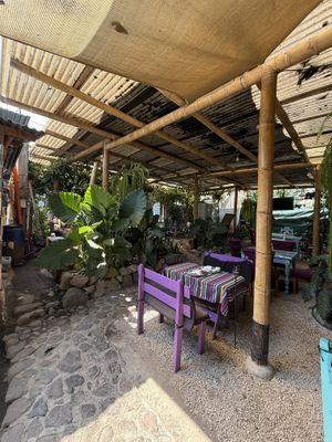   at Samsara's Garden in San Marcos La Laguna