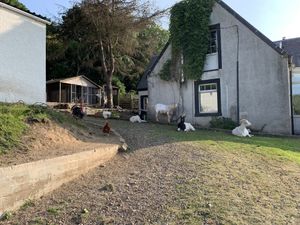 So many animals! at The Hut at Tribe Animals Sanctuary in Braidwood