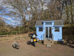  at The Hut at Tribe Animals Sanctuary in Braidwood