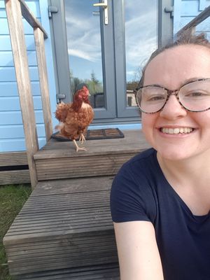  at The Hut at Tribe Animals Sanctuary in Braidwood